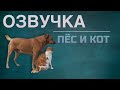 Наталья Козелкова. Озвучка. Пёс и кот