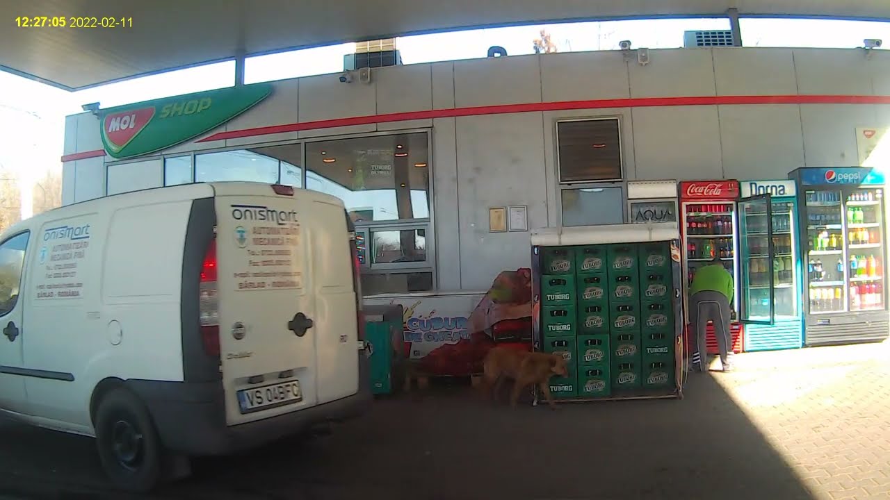 Barlad benzinaria Mol 12 februarie 2022