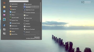 Cinnarch 2013.1 - Quick Look