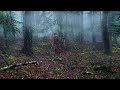 Misericordia | Trailer | Opens March 21