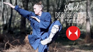 Kung Fu Square Basics | Class 6 | Kung Fu Foundation | Shaolin Kung Fu | UK Shaolin Temple screenshot 1