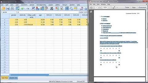 SPSS Questionnaire Survey Data Entry   Part 3