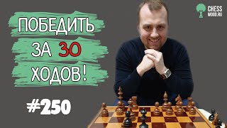 Победить за 30 ходов № 250. Такой Дракон Вам понравится!