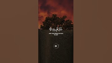 الذي خلقني فهو يهدين | سورة الشعراء | القارئ أحمد العجمي