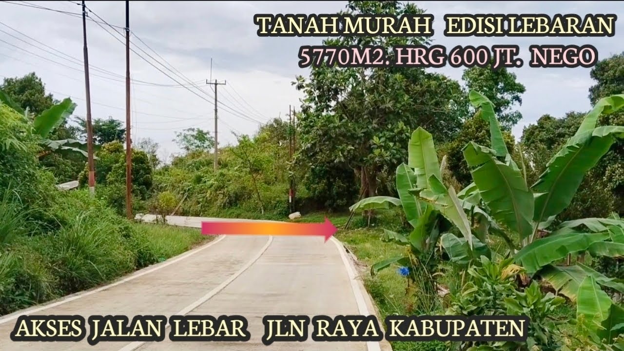 Dijual Cepet Tnh Kebun Akses Jalan Raya Kabupaten View Gunung Salak Mdpl 850 