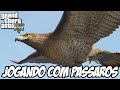 GTA V - Como Virar POMBO, FALCÃO, CORVO e mais EASTER EGG FODA