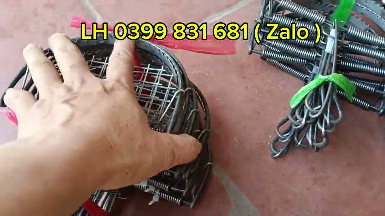 Cạm kiềng 14cm,16cm, bán nguyệt nhỡ đại đánh chuột sóc cò chồn #cambaychuot #camkieng 