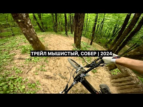 Видео: Мышистый трейл на горе Собер | 2024