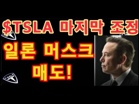 TSLA 마지막 조정 테슬라 투자 Tesla 하락 볼륨 일론 머스크 매도 비트코인 SpaceX 
