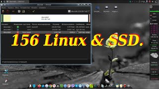 156 Linux &amp; SSD.