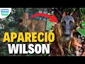 APARECIÓ WILSON - SOLDADO ENCUENTRA UN PERRO PERIDIDO EN LA SELVA IGUAL A WILSON