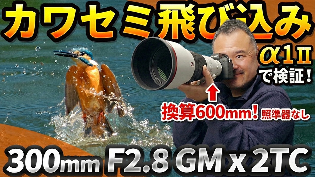 α1 II × サンニッパ2倍テレコンでカワセミの飛び込みはどこまで撮れる？