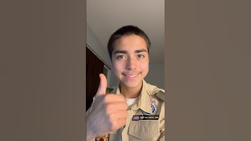 Day 217 of reading the bee movie script