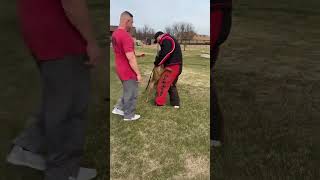 K9 Luna female malinois family protection dog being sent for the bite