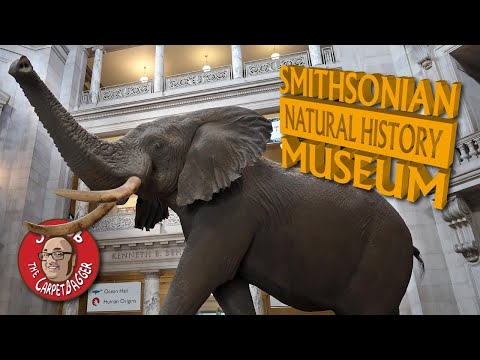 Vídeo: Mapa e Direções dos Museus Smithsonian