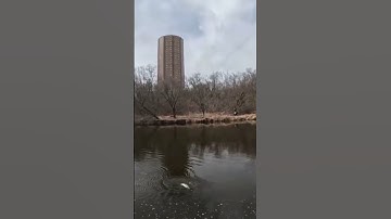 River Fishing for Spring Trout! #fishing #piscifun #troutfishing