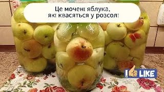 картинка: Квашені яблука. Мочені яблука. Soused apples