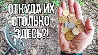 Куча кошельков на лесной дороге! Странное место, Откуда их столько здесь?!