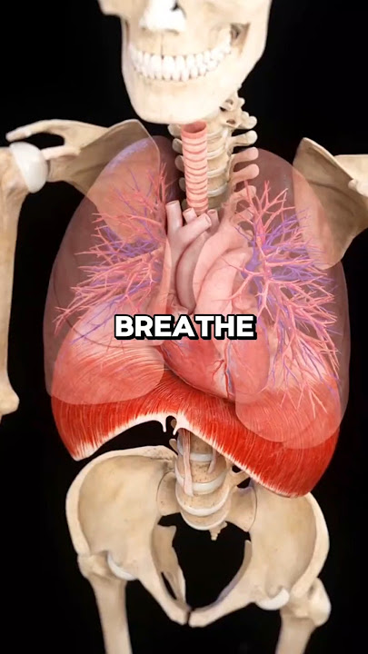 You’re Breathing Wrong — Here’s Why You Feel Tired 😳