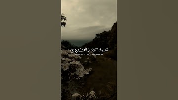 سورة الفاتحه القارئ ماجد خالد العماري .