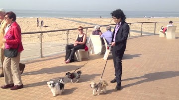 Black Cassette - Distant Call (Official Video)