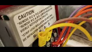 How to wire a Simplex Nac circuit. this is an old horn strobe.