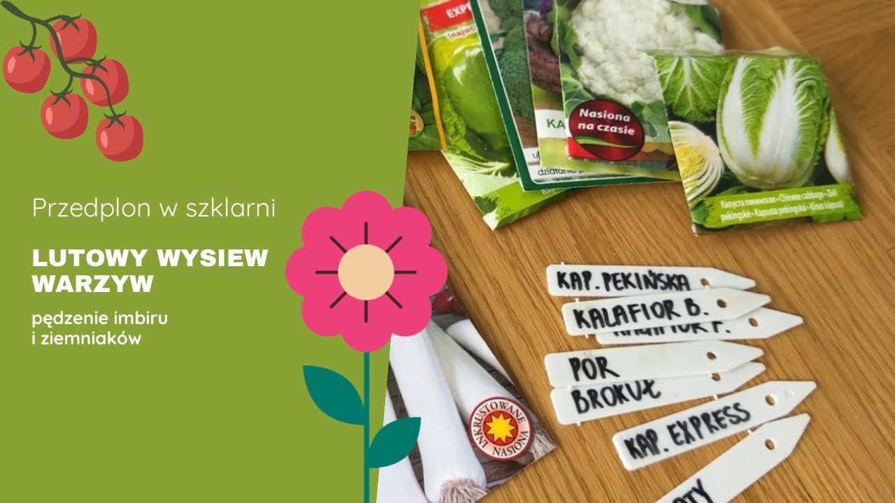 Wysiew warzyw w lutym. Mój przedplon w szklarni 🌱