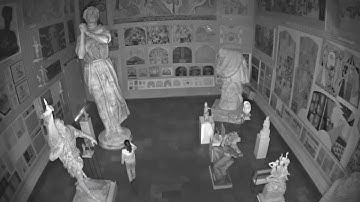 AXIS P3364 LV Network Camera with integrated IR illumination