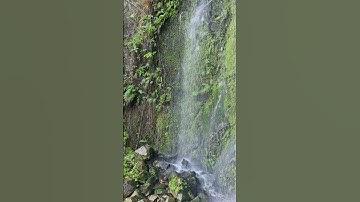 Thác nước chảy quanh năm #adventure #travel #nature #music