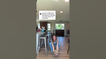 Does it stress out your bunny to be picked up? I have a 25 exercise training guide.