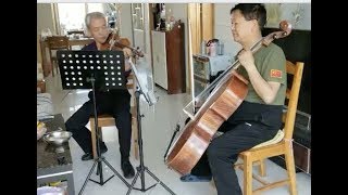 play yinfente violin and cello by two teacher sweet sound