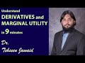 Derivatives and Marginal Utility