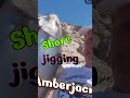 "You don't expect this... Shore Jigging in 3 seconds! #shorejigging #fishing #fish