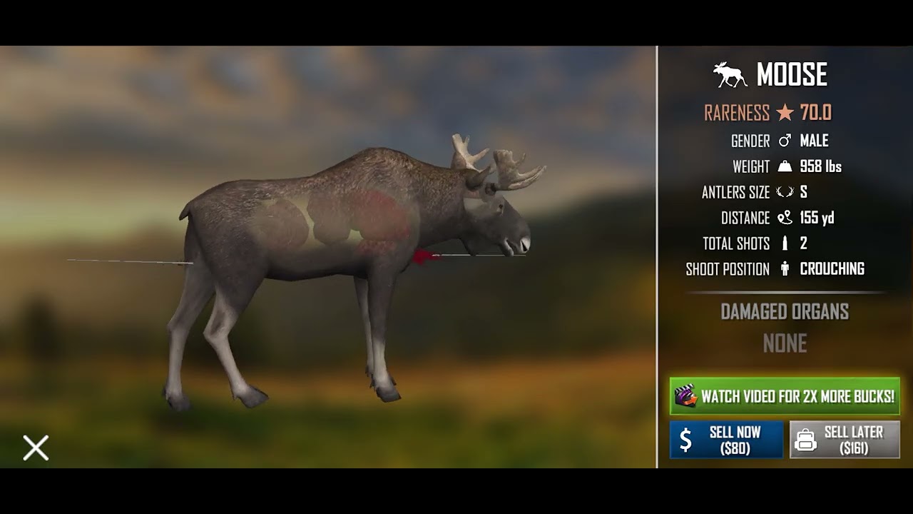 American Marksman with Luis Rodes-B8n