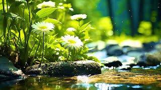 Emotional Piano Music And The Sound Of Water | Relieve Depression, Relaxing Music