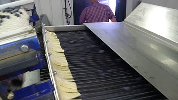 Blueberry grading line