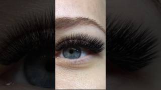L-Curl Volume Eyelash Extensions by Wimpern deLuxe L-Curl Volume Eyelash Extensions by Wimpern deLuxe