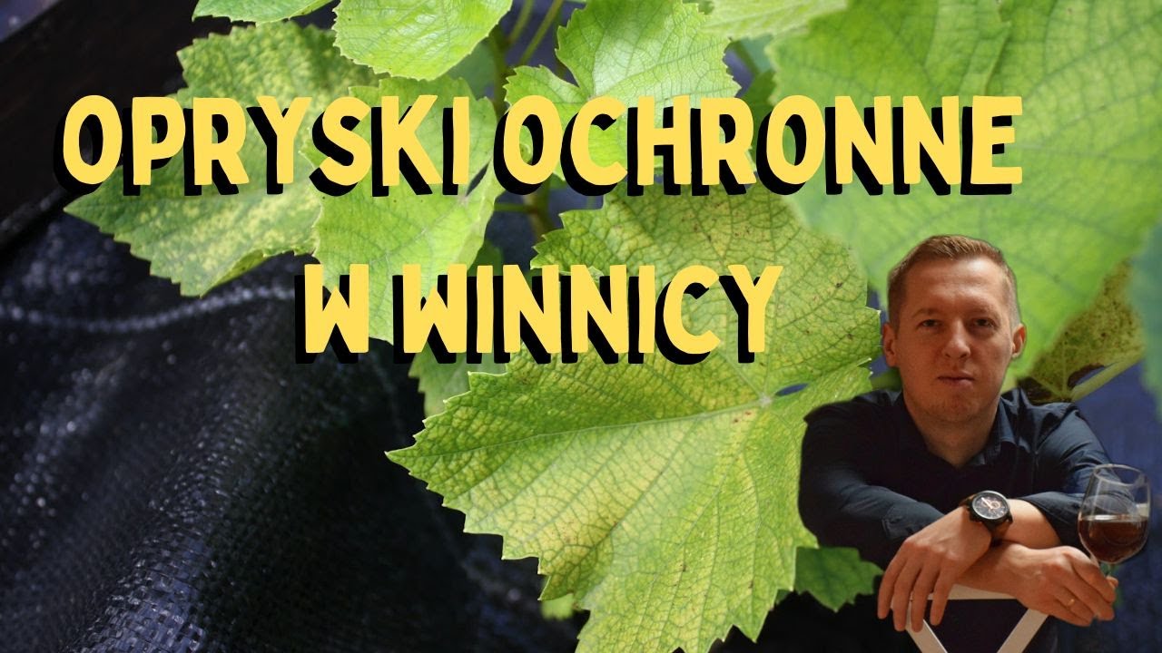 Oprysk ochronny winogron