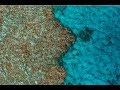 Down Under from Above | Photographing the Great Barrier Reef