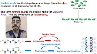 LEC 2  DNA Structure and DNA Replication Part 1