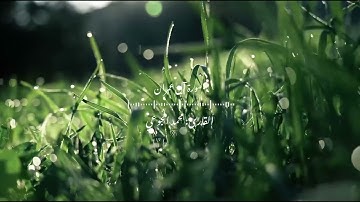 تلاوة خاشعة| القارئ: محمد الجوعي