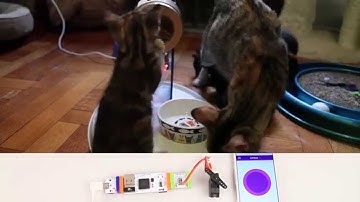 littleBits Smart Home: Remote Pet Feeder
