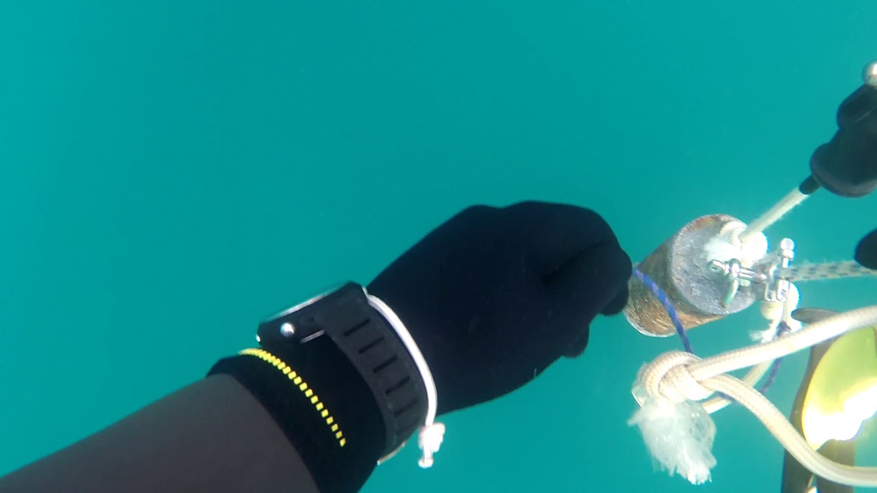 Pesca Submarina Andalucía. spearfishing Spain YouTube