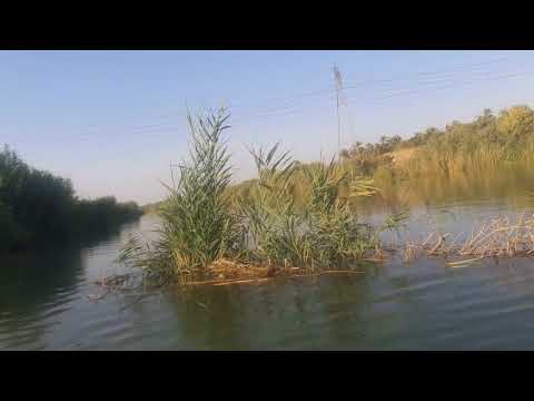 شاهد ارتفاع ميأه نهر ديالى غير مسبوق من قبل 2018 ٨ ٣