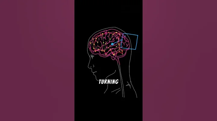 What Your Brain Does When You Sleep