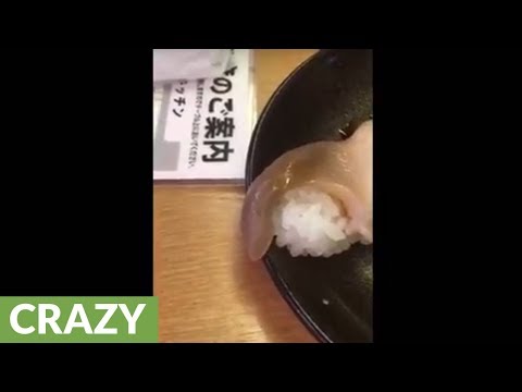 Restaurant in Japan serves sushi that's still alive