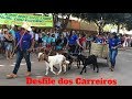 Desfile dos carreiros - Festa do carro de boi e moagem - Bonito Mg 2017