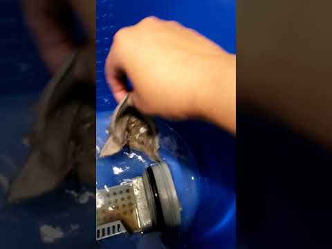 Whirlpool Duet Washer E01/F09 Error Code