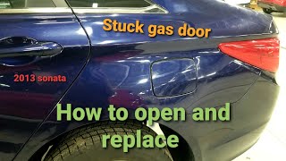 Hyundai gas door won