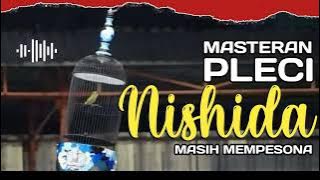 MASTERAN PLECI NISHIDA MASIH MEMPESONA - PLECI 125 JUTA - #masteranpleci #plecinishida